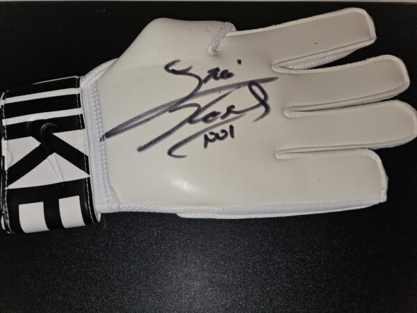 Signed Glove