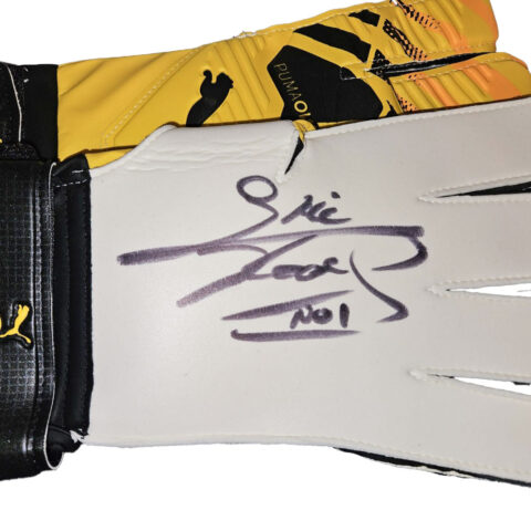 Signed Glove