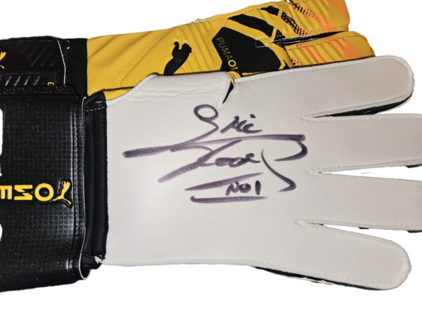 Signed Glove